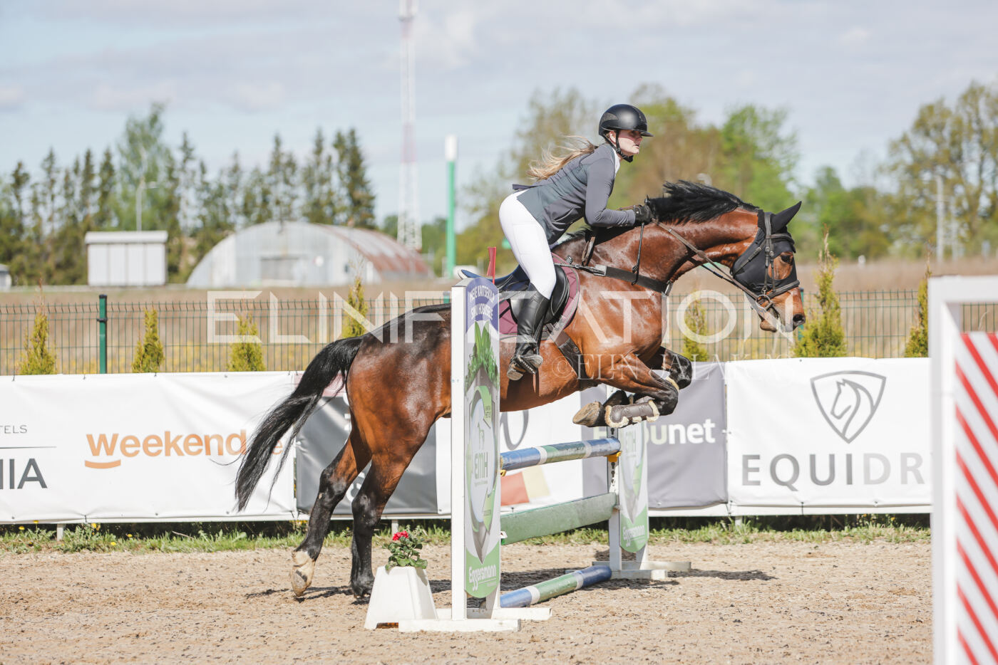 Gramina_Kevad_2026_80_168