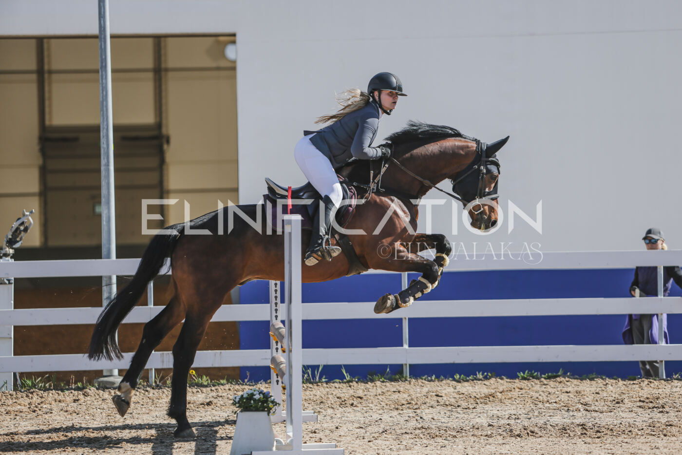 Gramina_Kevad_2026_80_170