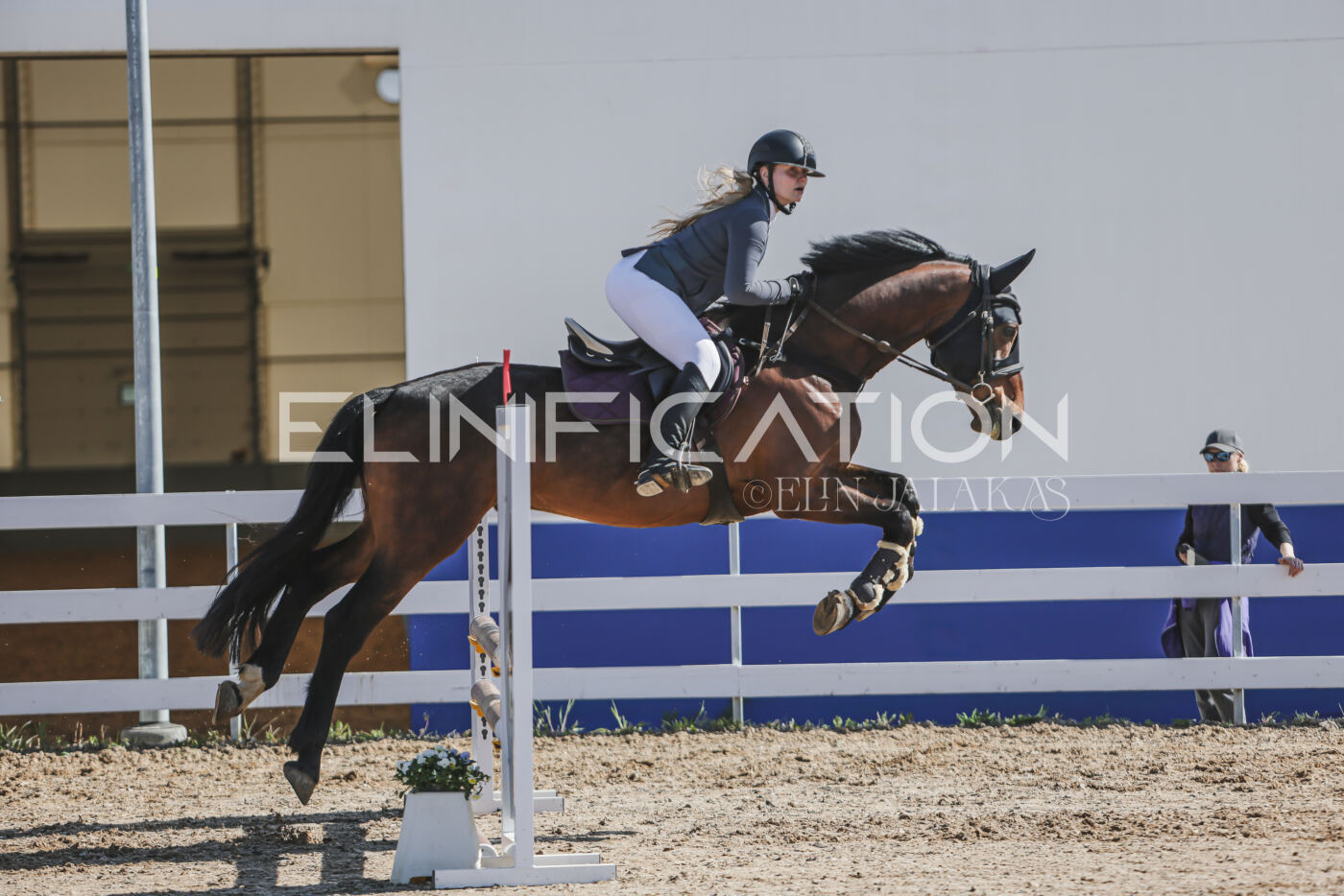 Gramina_Kevad_2026_80_171