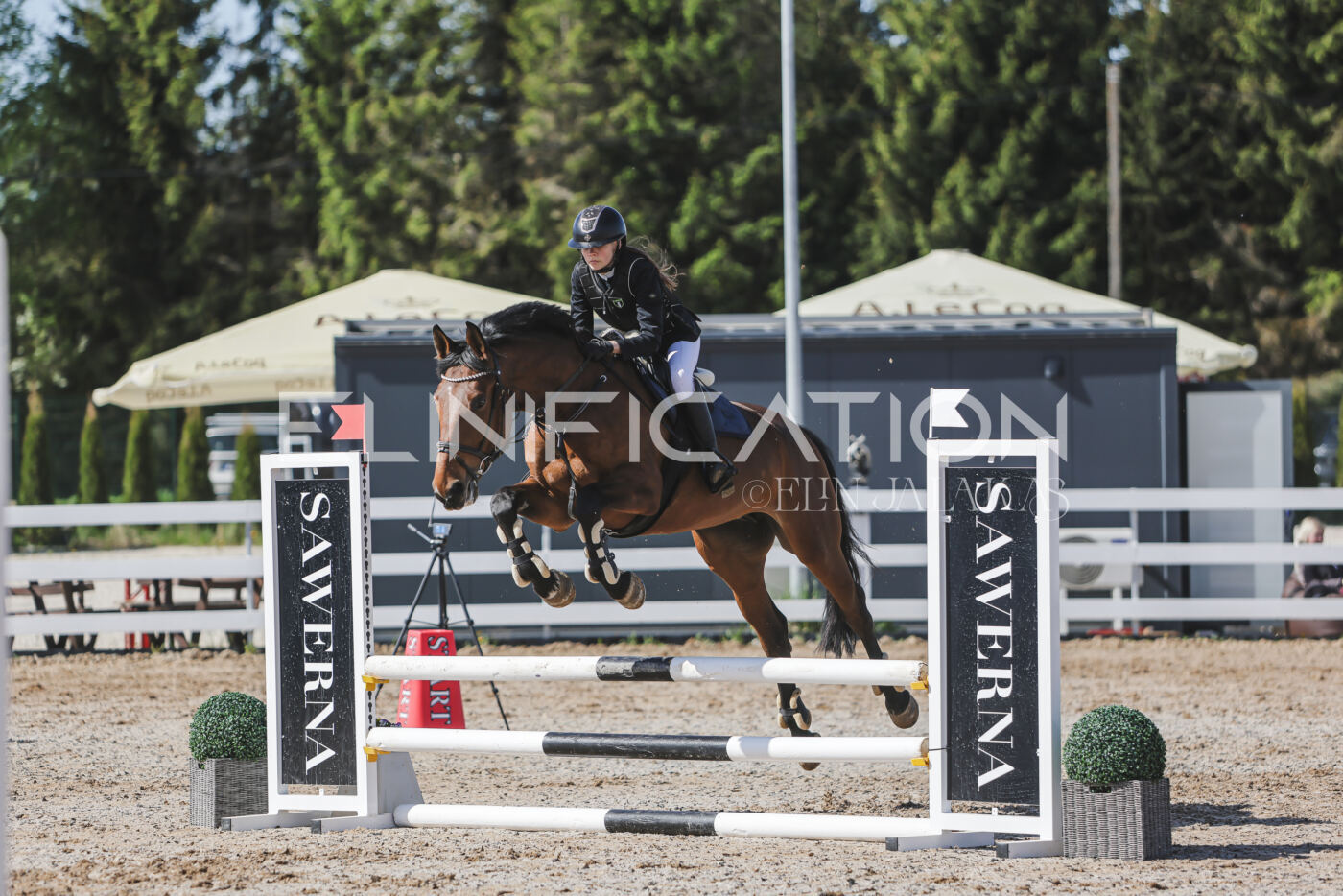Gramina_Kevad_2026_80_175