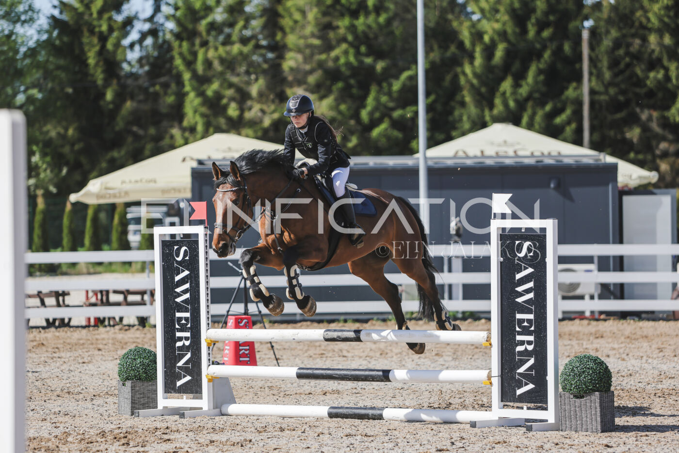 Gramina_Kevad_2026_80_176