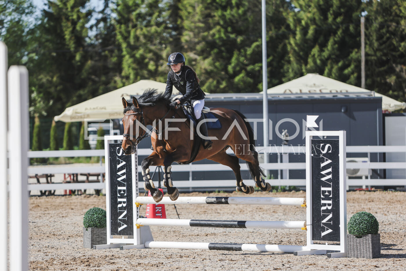 Gramina_Kevad_2026_80_177
