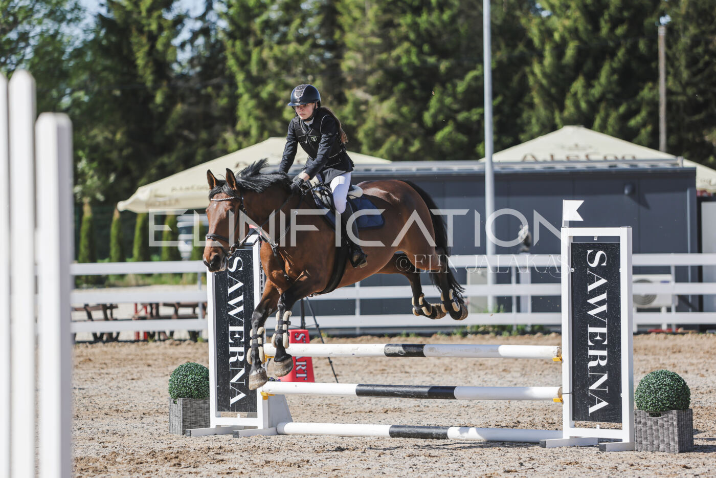 Gramina_Kevad_2026_80_178