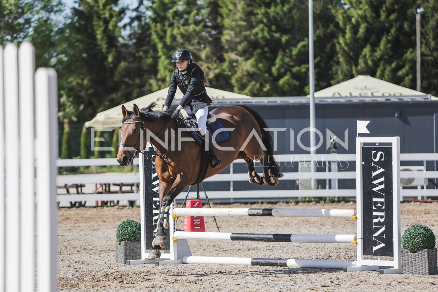 Gramina_Kevad_2026_80_179