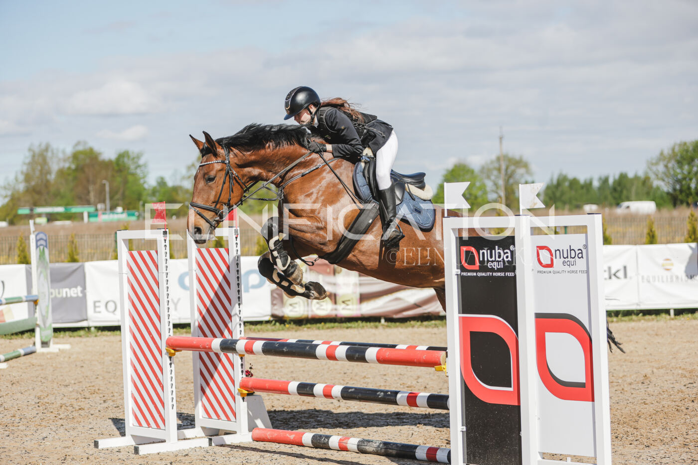 Gramina_Kevad_2026_80_180