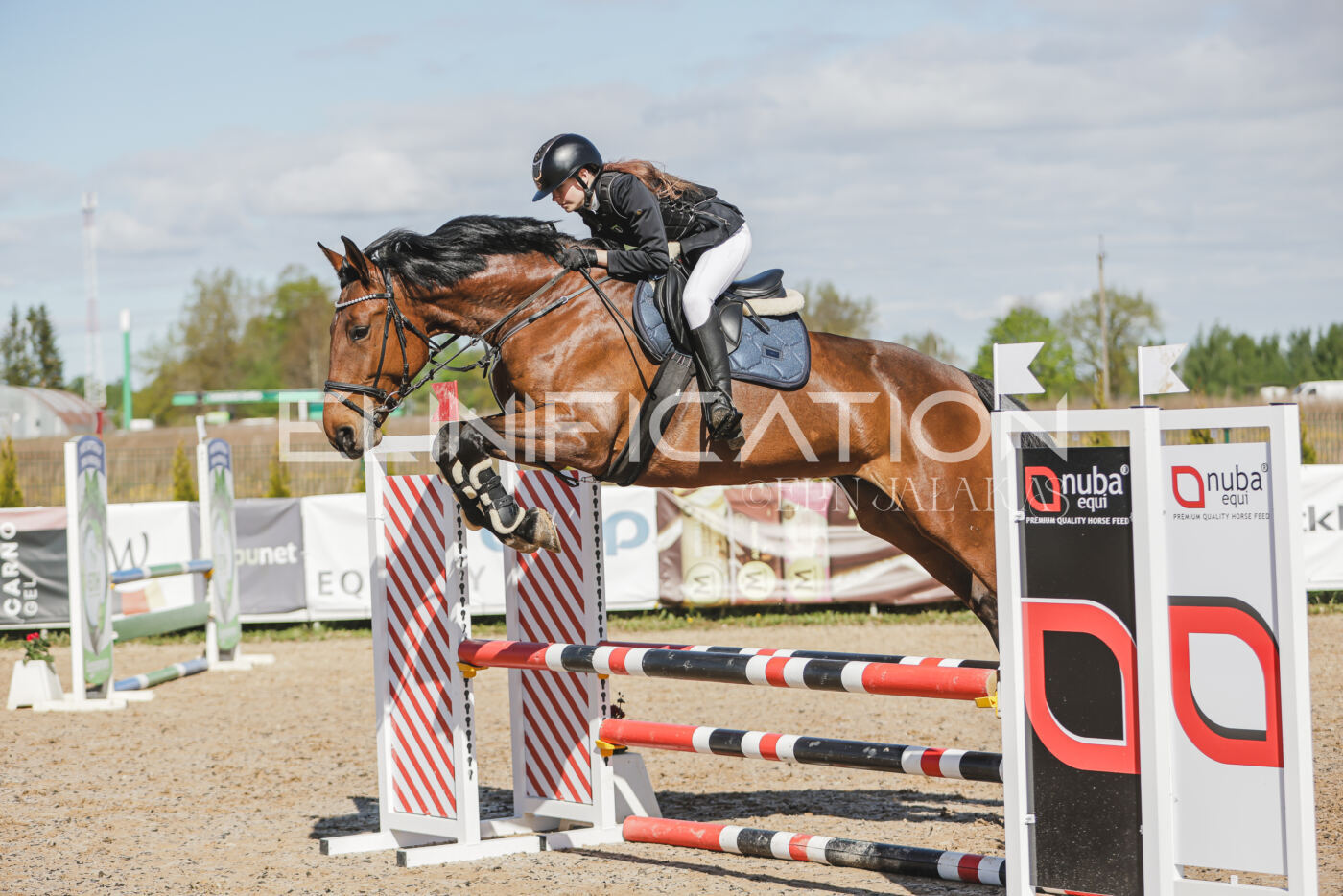 Gramina_Kevad_2026_80_182