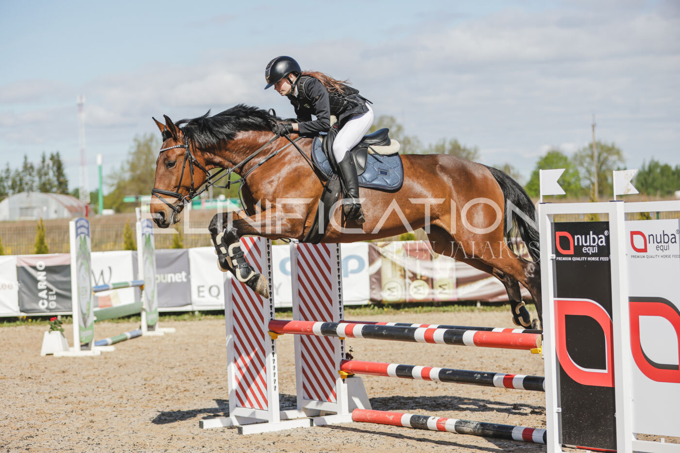 Gramina_Kevad_2026_80_183