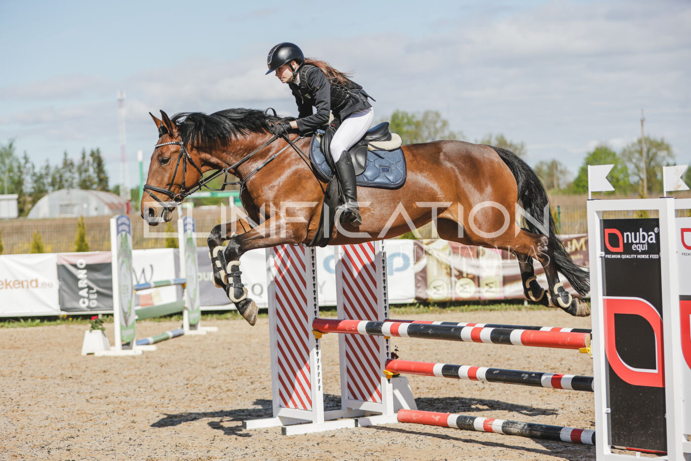 Gramina_Kevad_2026_80_184