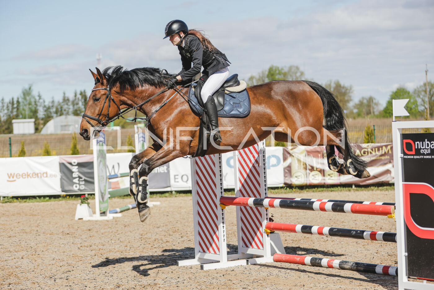 Gramina_Kevad_2026_80_185