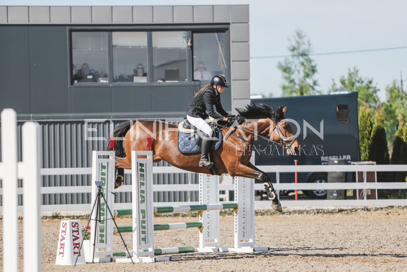 Gramina_Kevad_2026_80_189