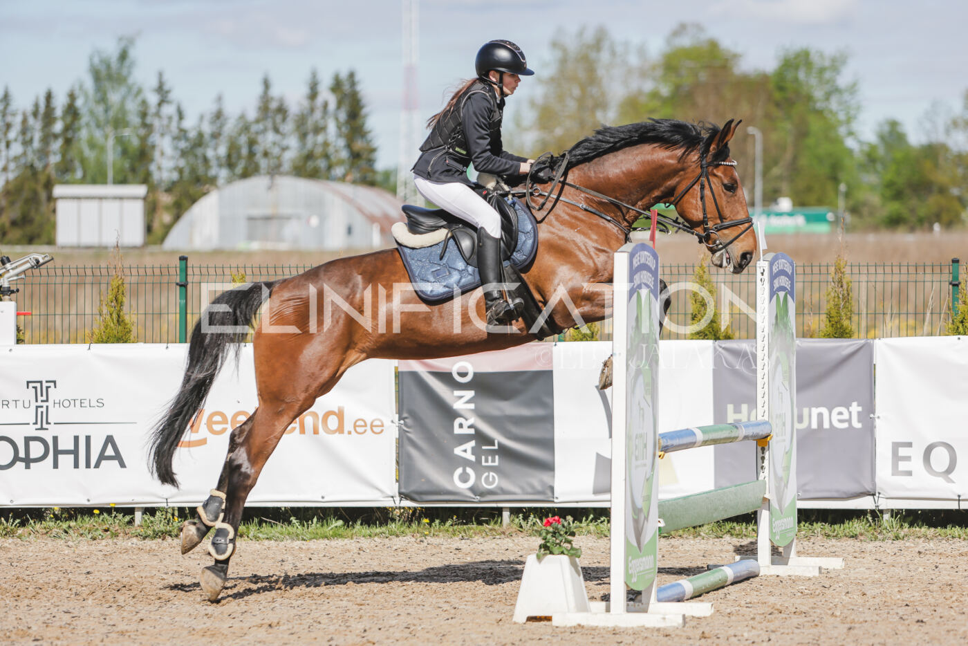 Gramina_Kevad_2026_80_191