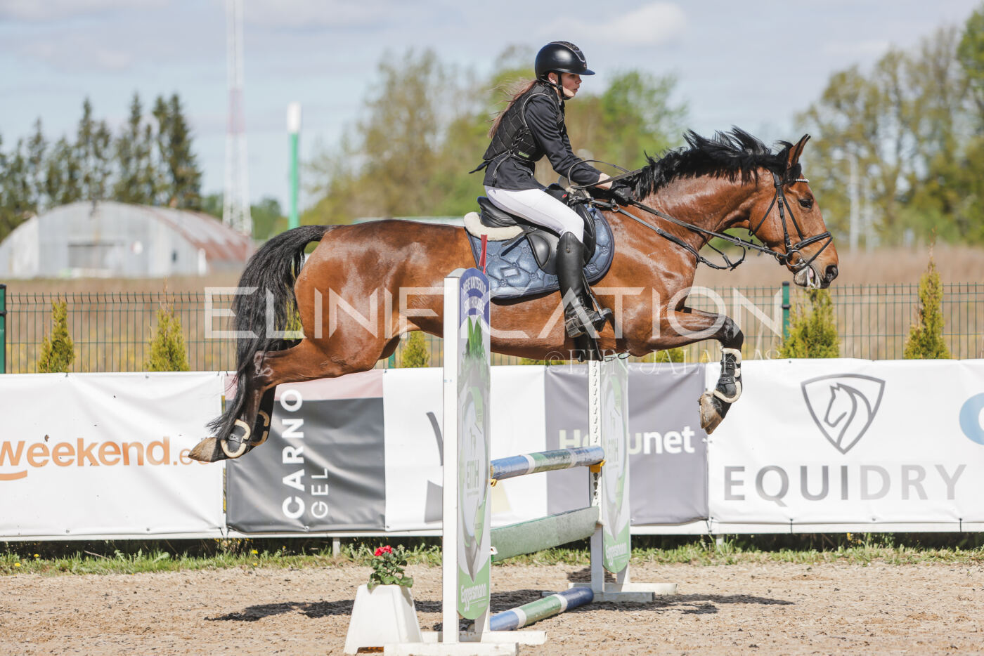 Gramina_Kevad_2026_80_194