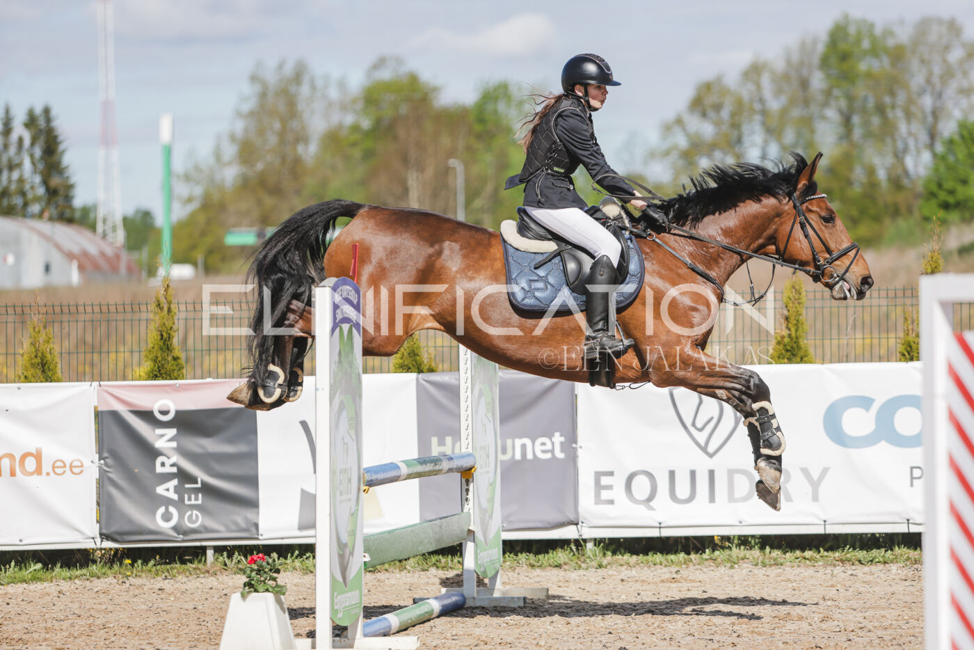 Gramina_Kevad_2026_80_196