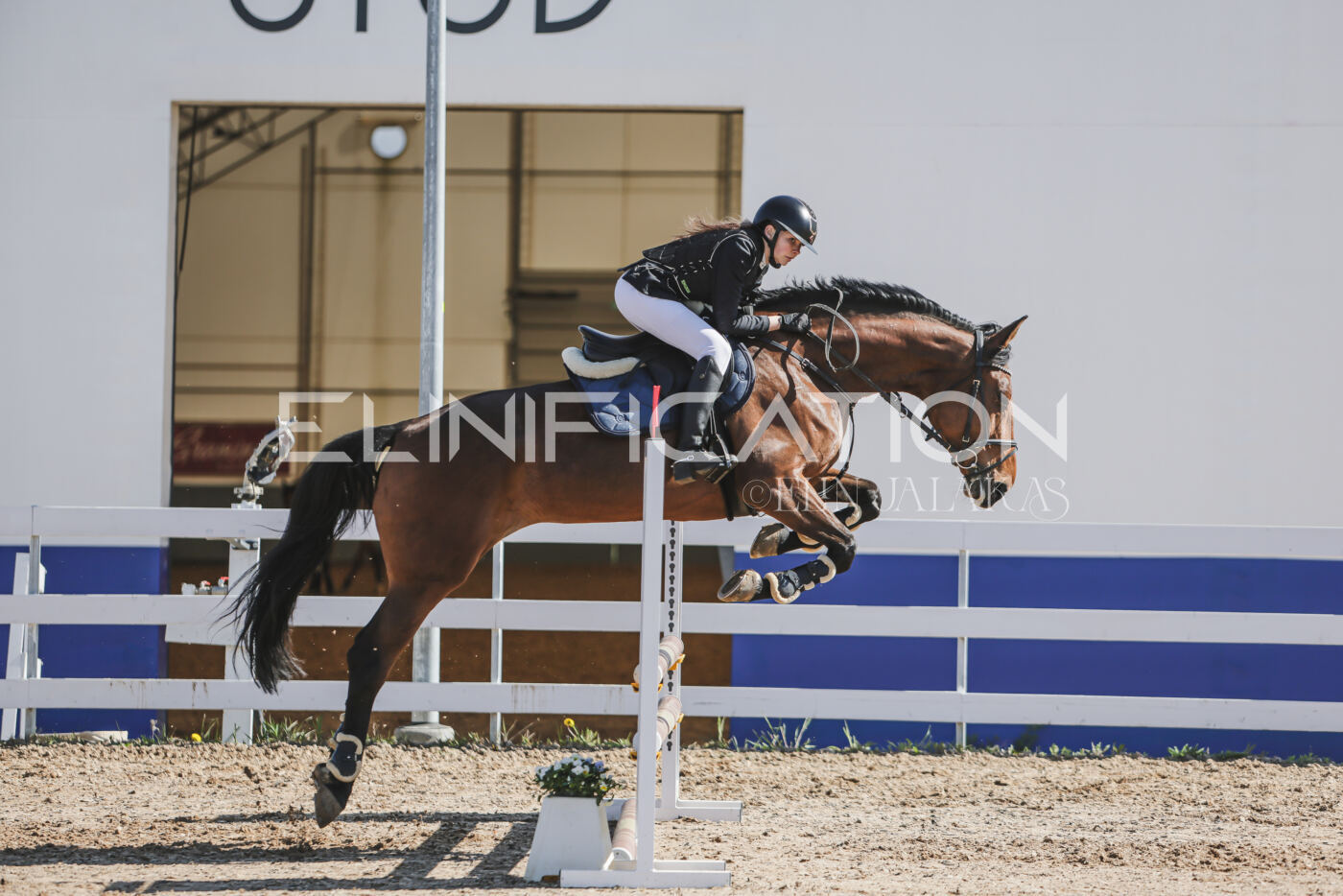 Gramina_Kevad_2026_80_197