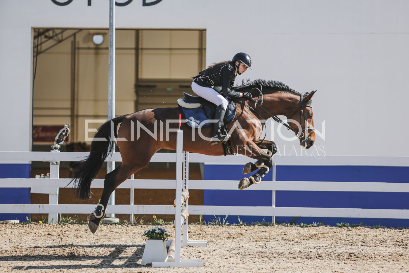 Gramina_Kevad_2026_80_198