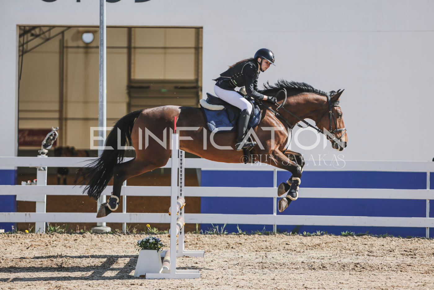 Gramina_Kevad_2026_80_199