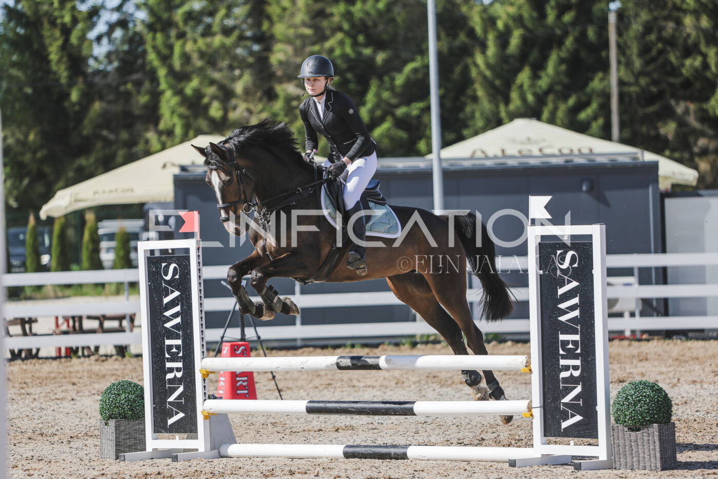 Gramina_Kevad_2026_80_201