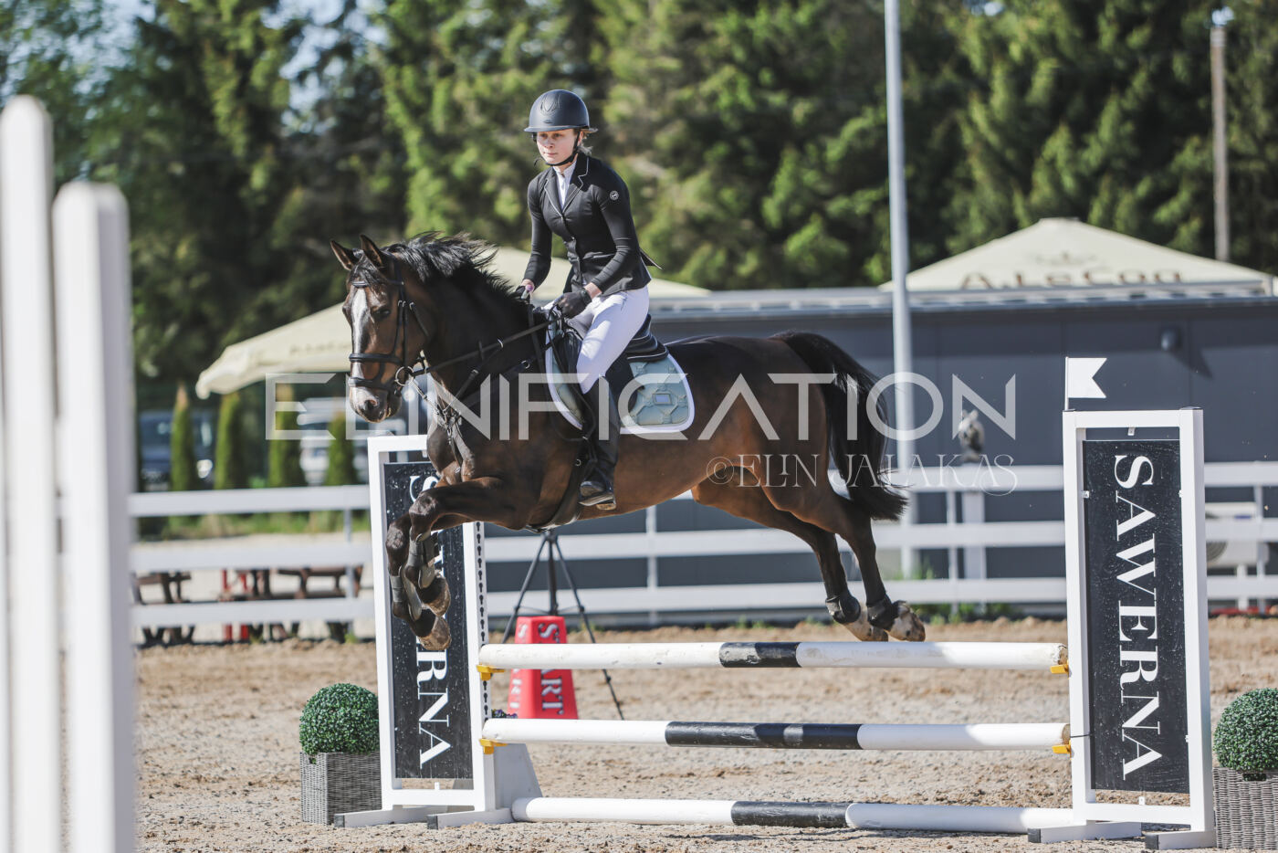 Gramina_Kevad_2026_80_203
