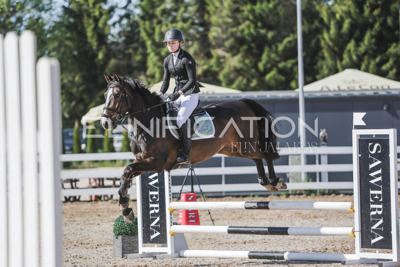 Gramina_Kevad_2026_80_204