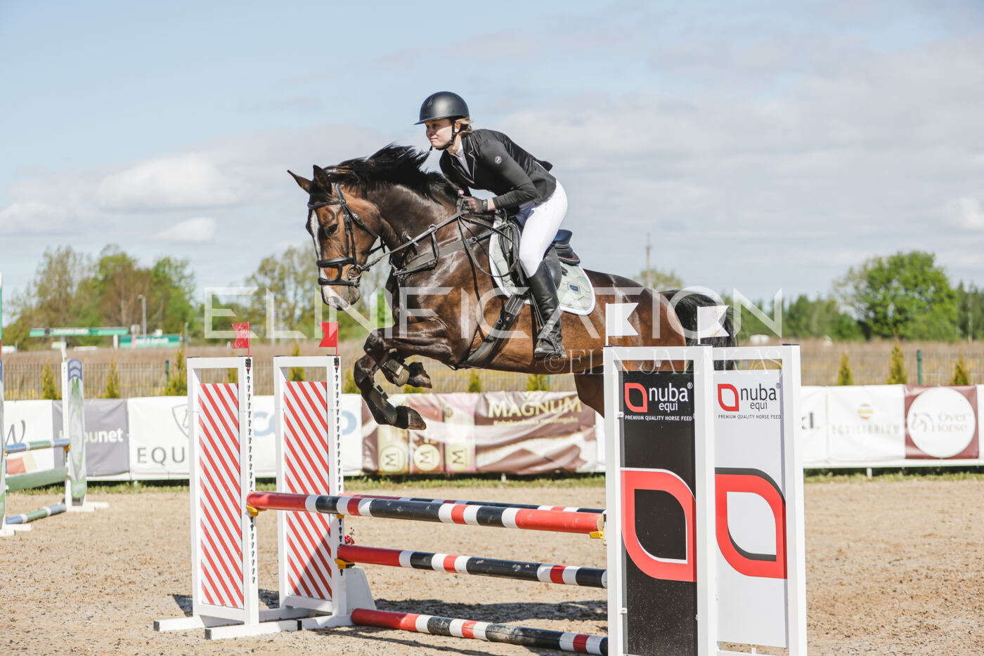 Gramina_Kevad_2026_80_208