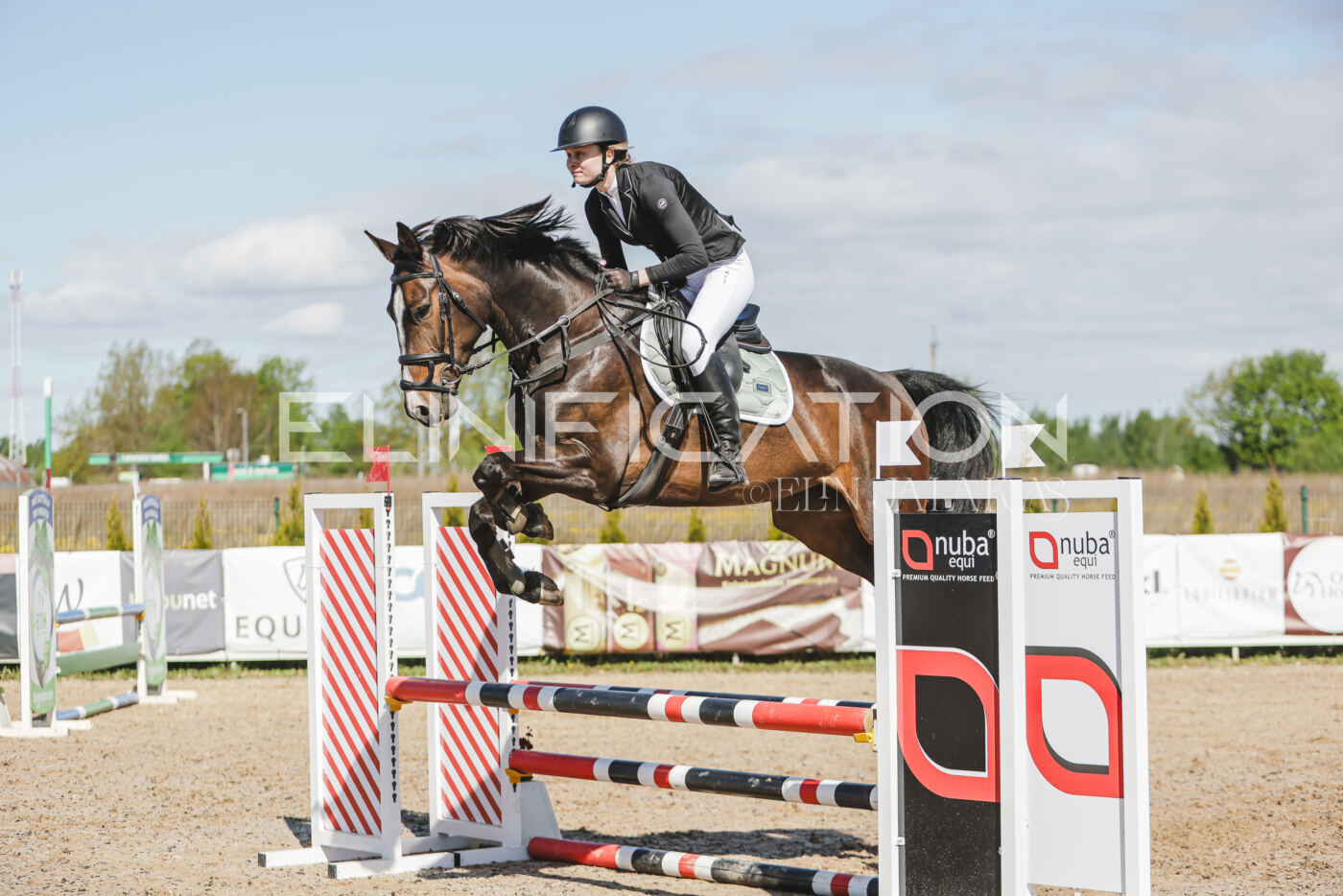 Gramina_Kevad_2026_80_209