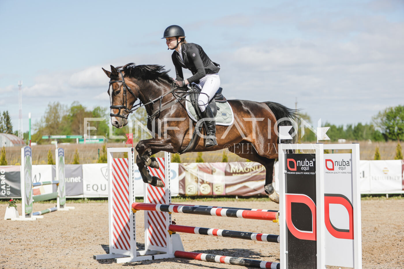 Gramina_Kevad_2026_80_210