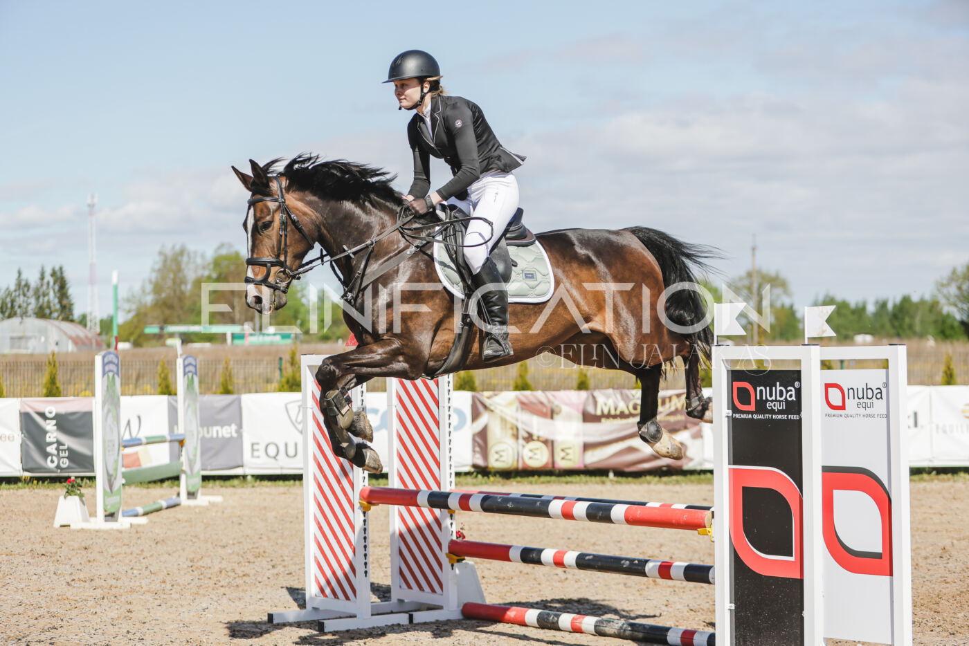 Gramina_Kevad_2026_80_211