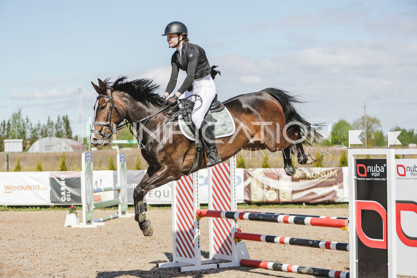 Gramina_Kevad_2026_80_213