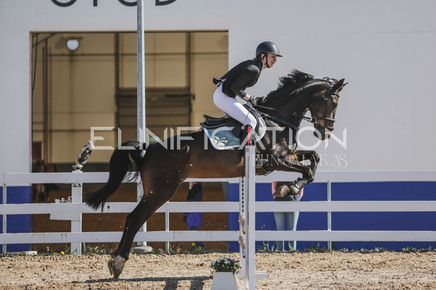 Gramina_Kevad_2026_80_218