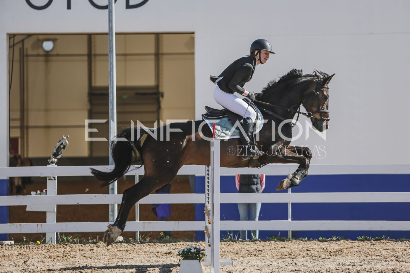 Gramina_Kevad_2026_80_219