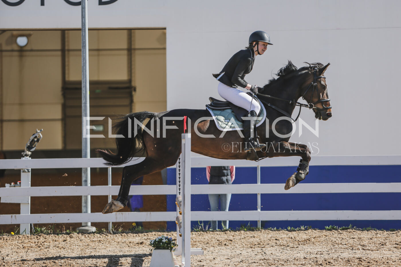 Gramina_Kevad_2026_80_220