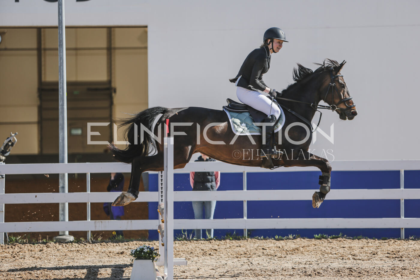 Gramina_Kevad_2026_80_221