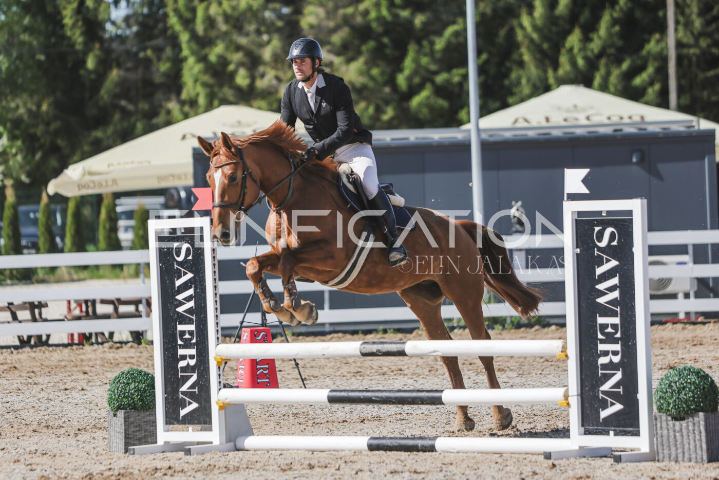 Gramina_Kevad_2026_80_222