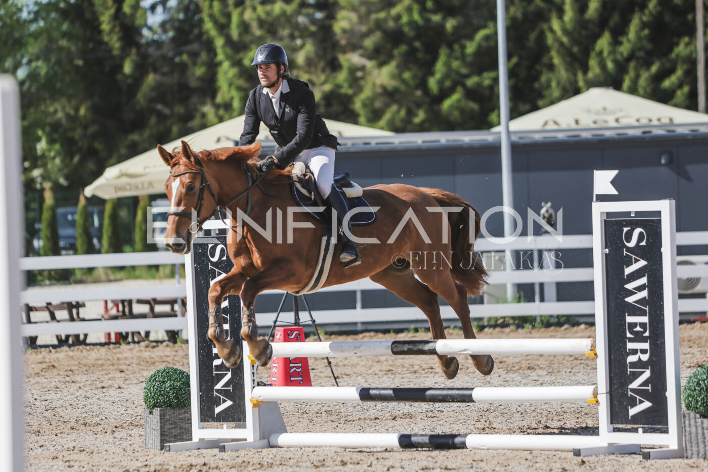 Gramina_Kevad_2026_80_224