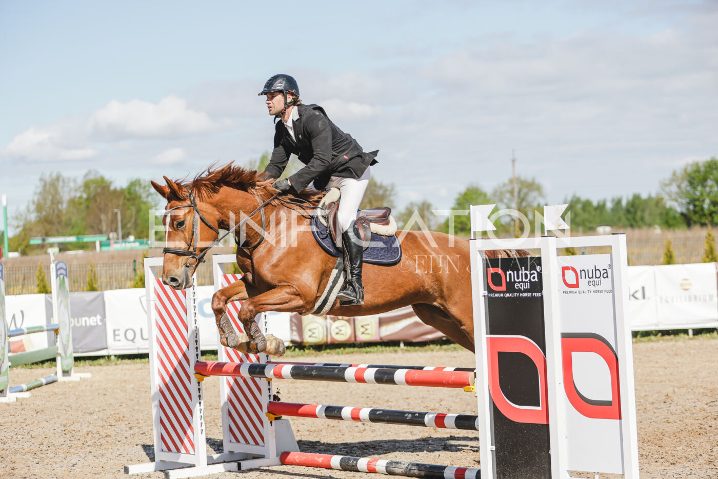 Gramina_Kevad_2026_80_226