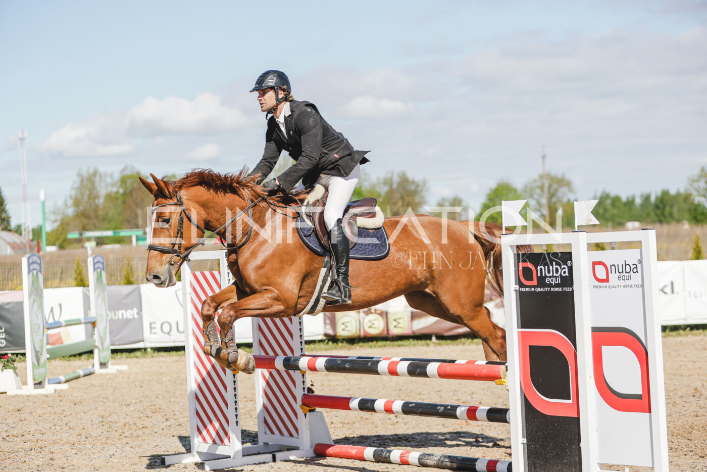 Gramina_Kevad_2026_80_227