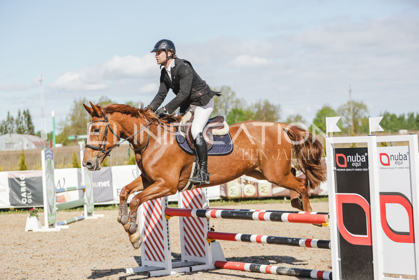 Gramina_Kevad_2026_80_228