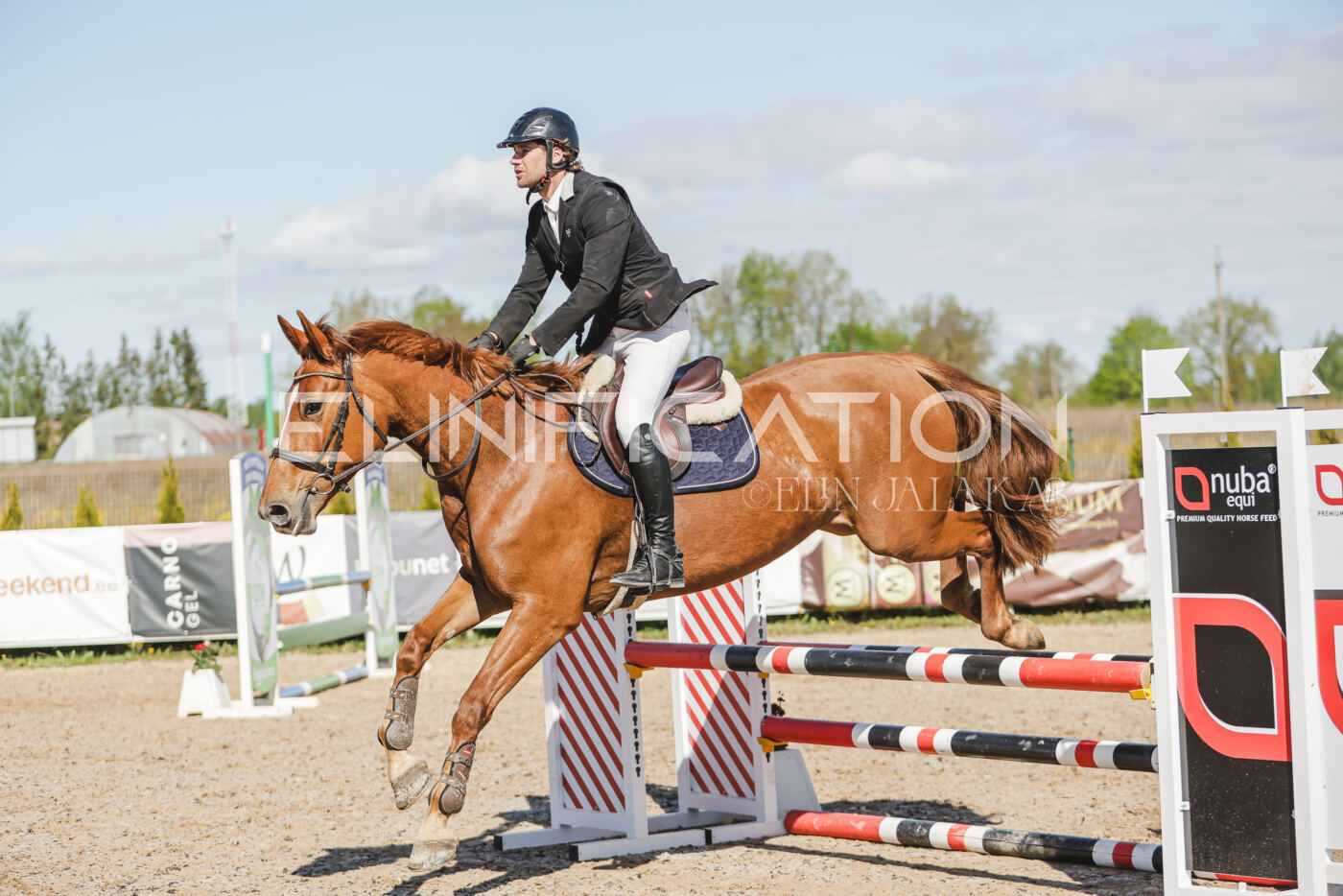 Gramina_Kevad_2026_80_229