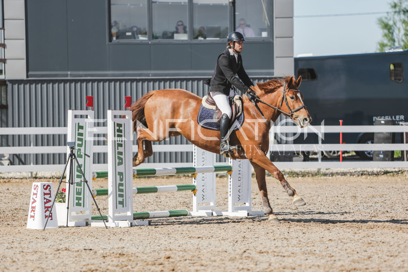 Gramina_Kevad_2026_80_234