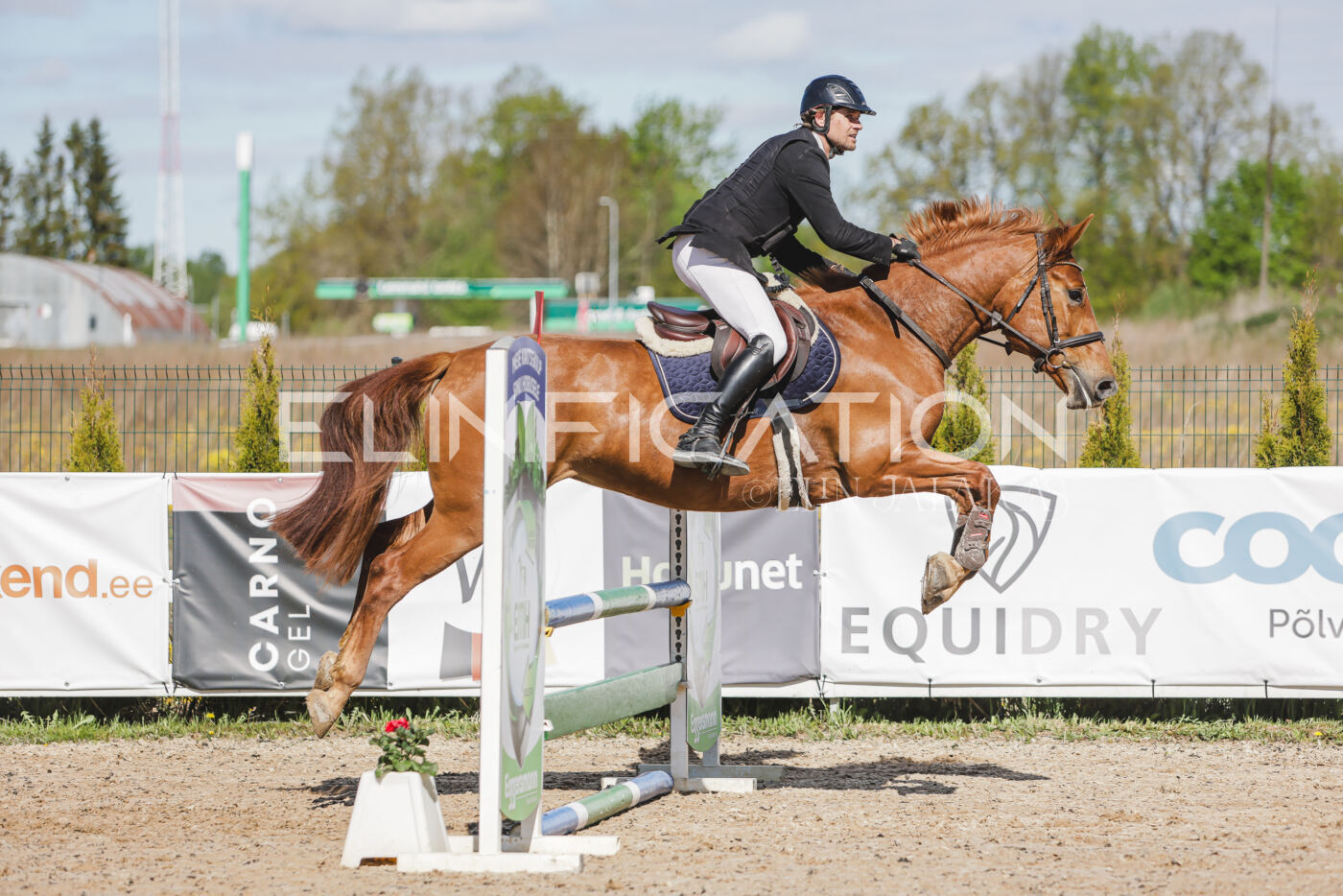 Gramina_Kevad_2026_80_236