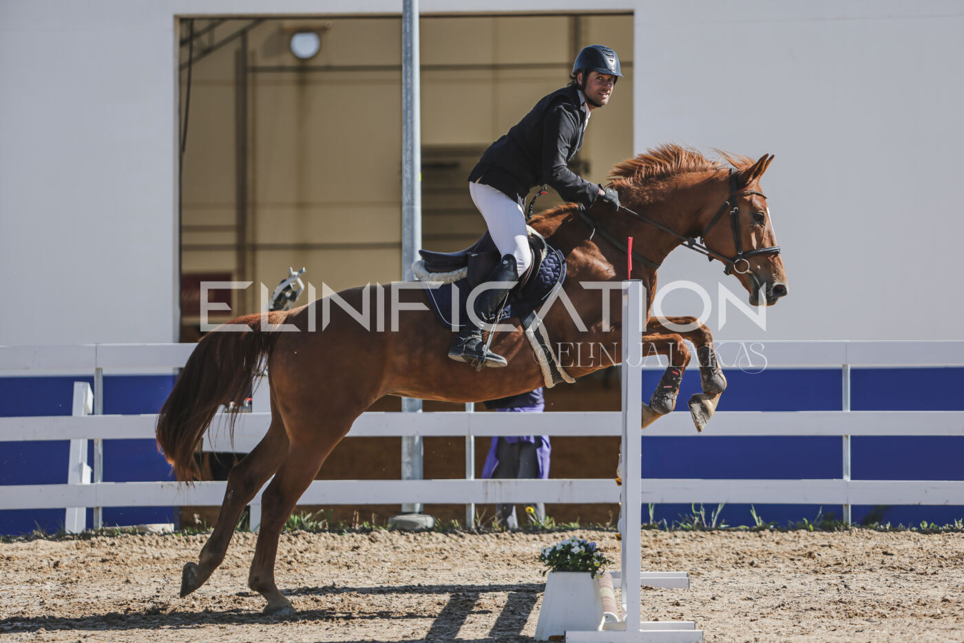 Gramina_Kevad_2026_80_237