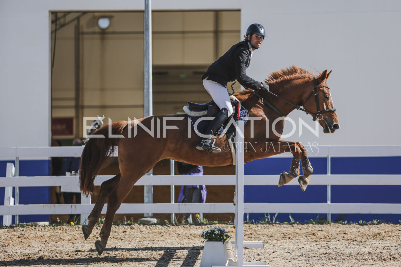 Gramina_Kevad_2026_80_238