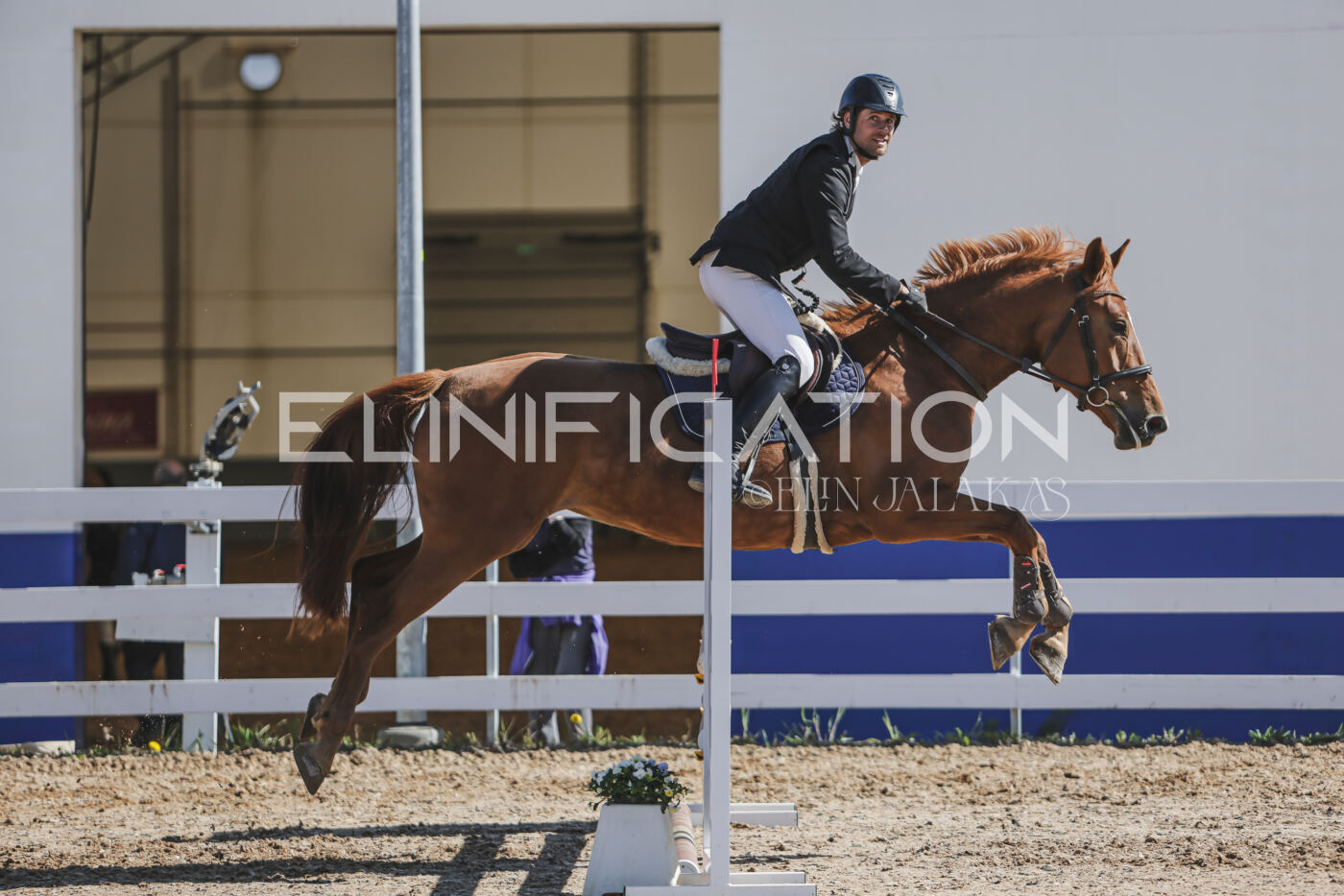 Gramina_Kevad_2026_80_239