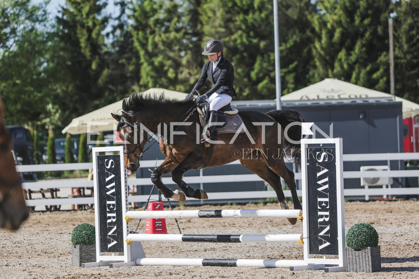 Gramina_Kevad_2026_80_241
