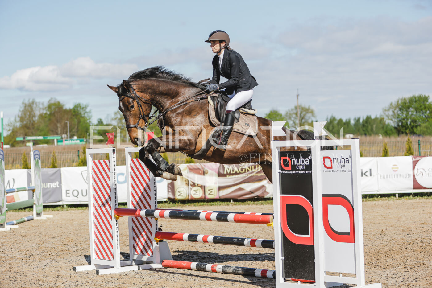 Gramina_Kevad_2026_80_243