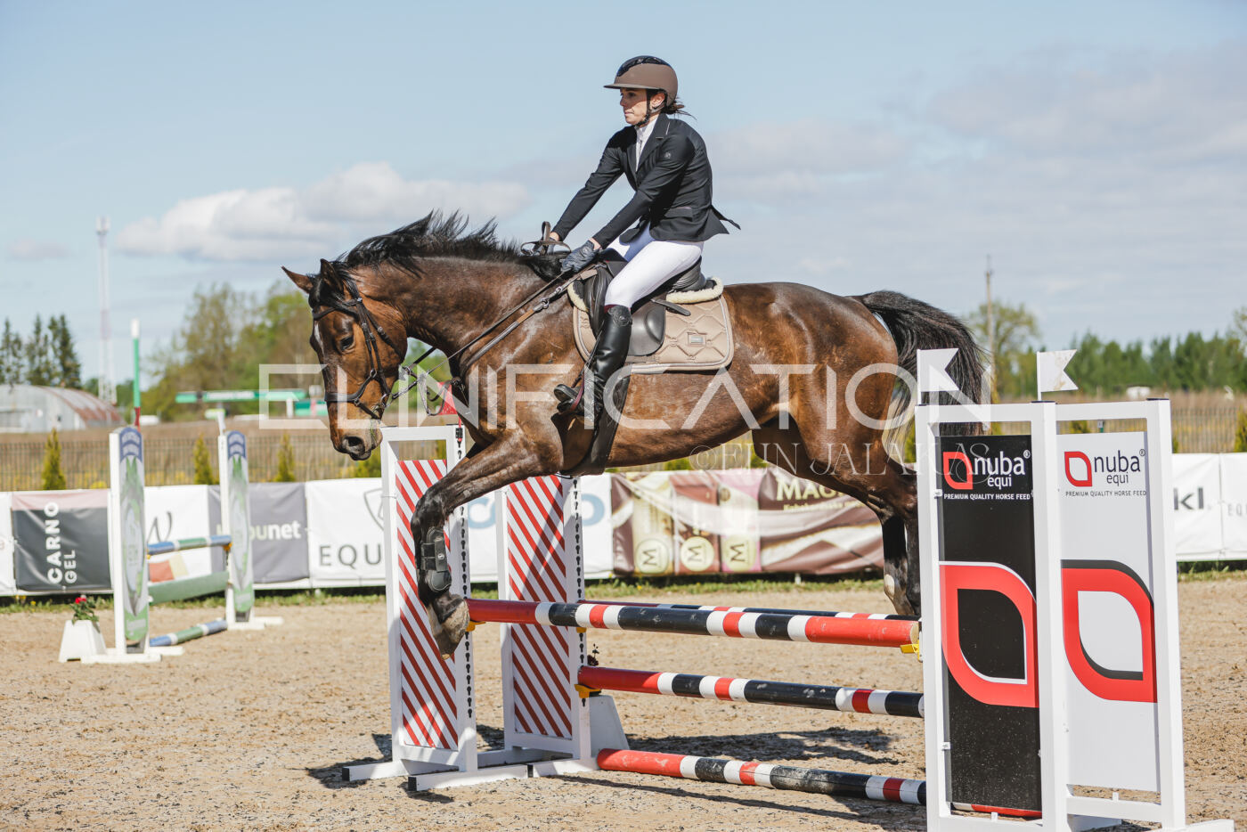 Gramina_Kevad_2026_80_246