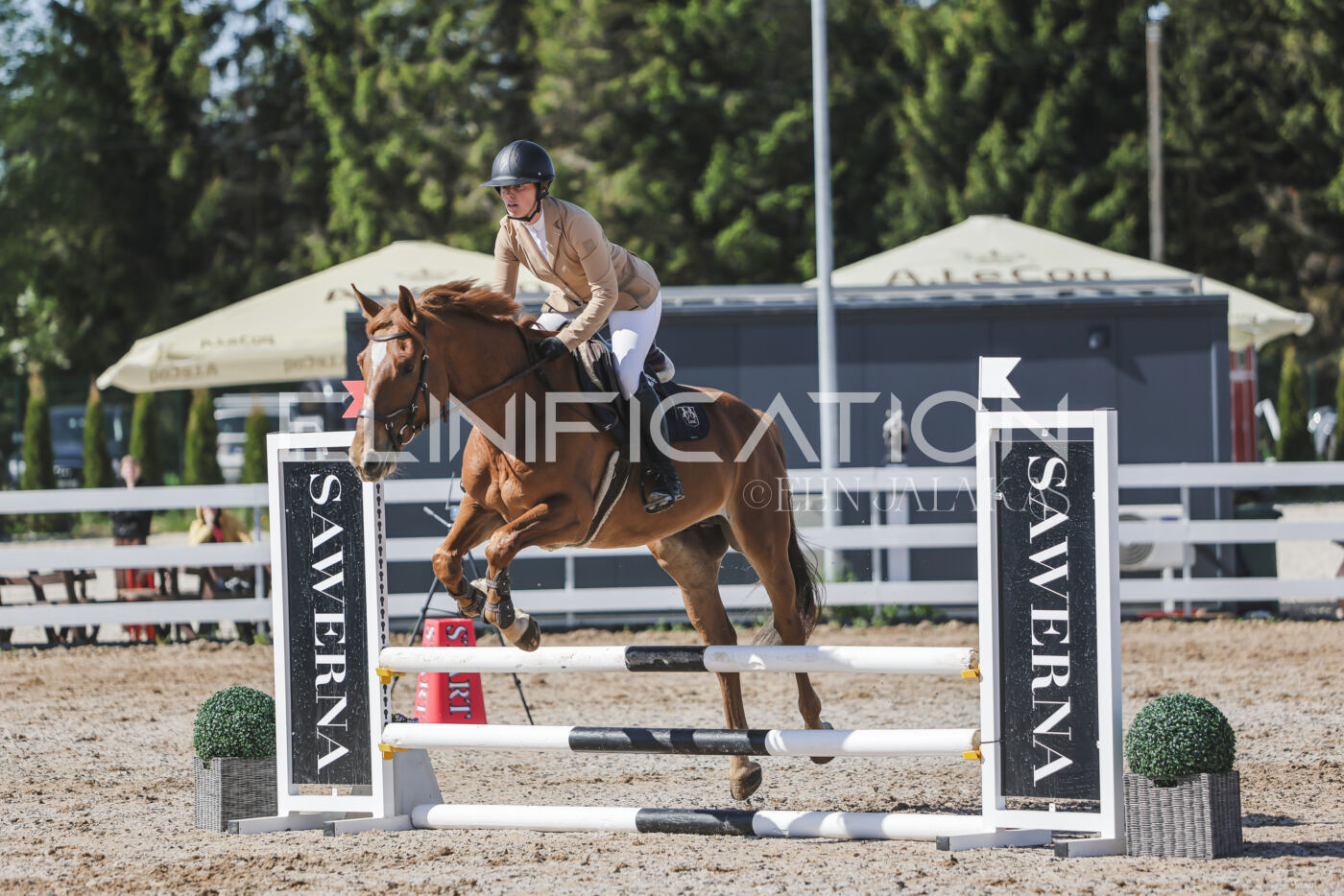 Gramina_Kevad_2026_80_247