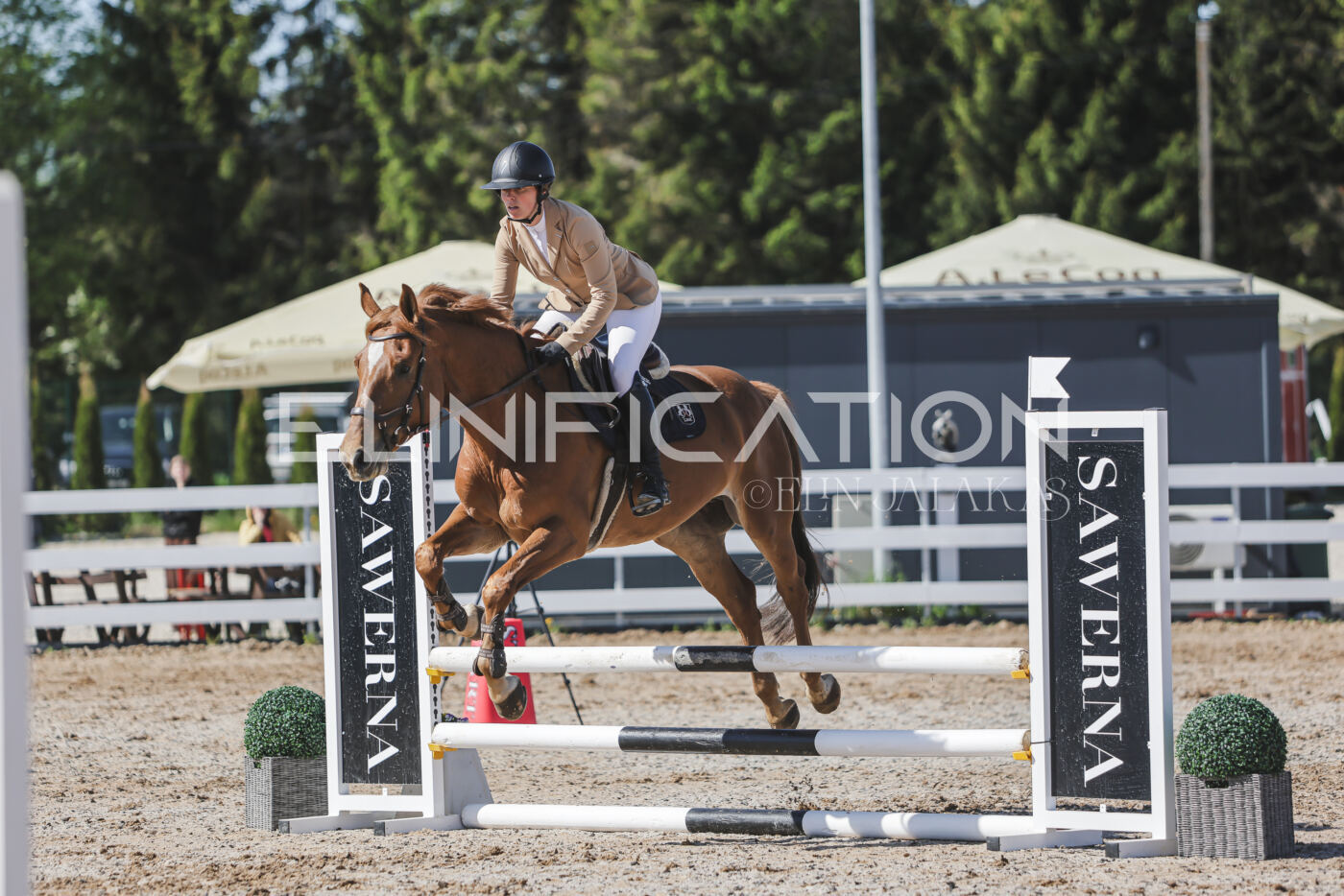 Gramina_Kevad_2026_80_248