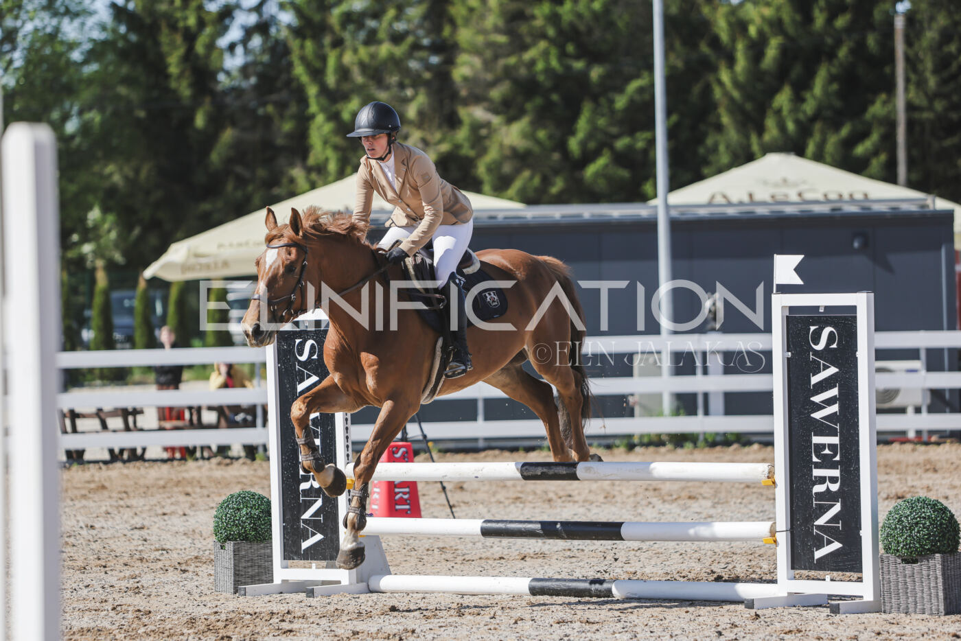 Gramina_Kevad_2026_80_249