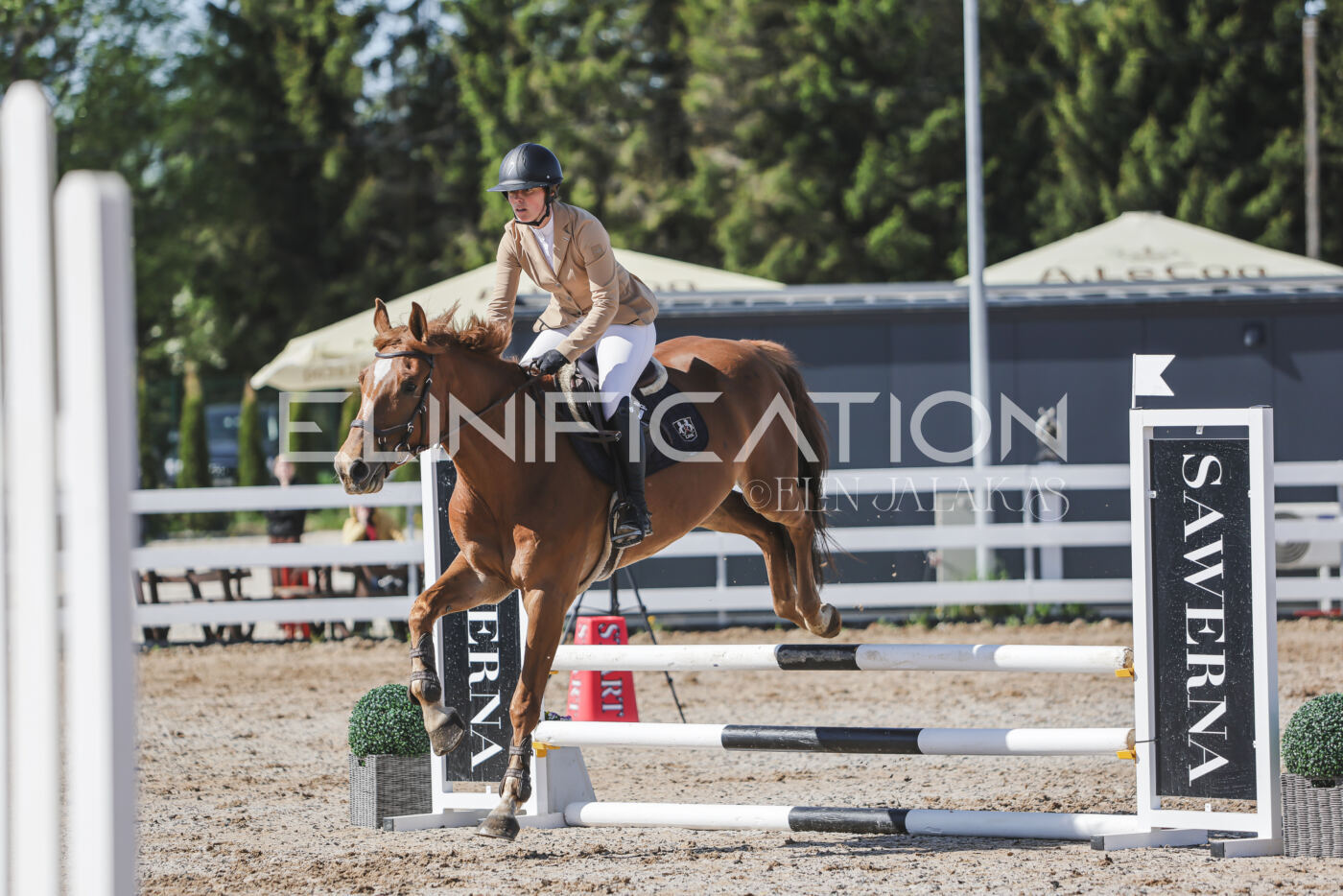 Gramina_Kevad_2026_80_250